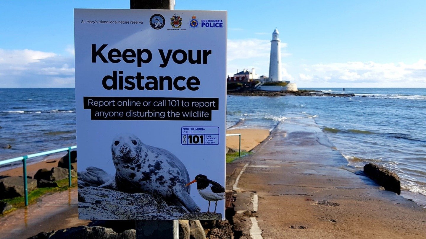 Image: Charitable donations